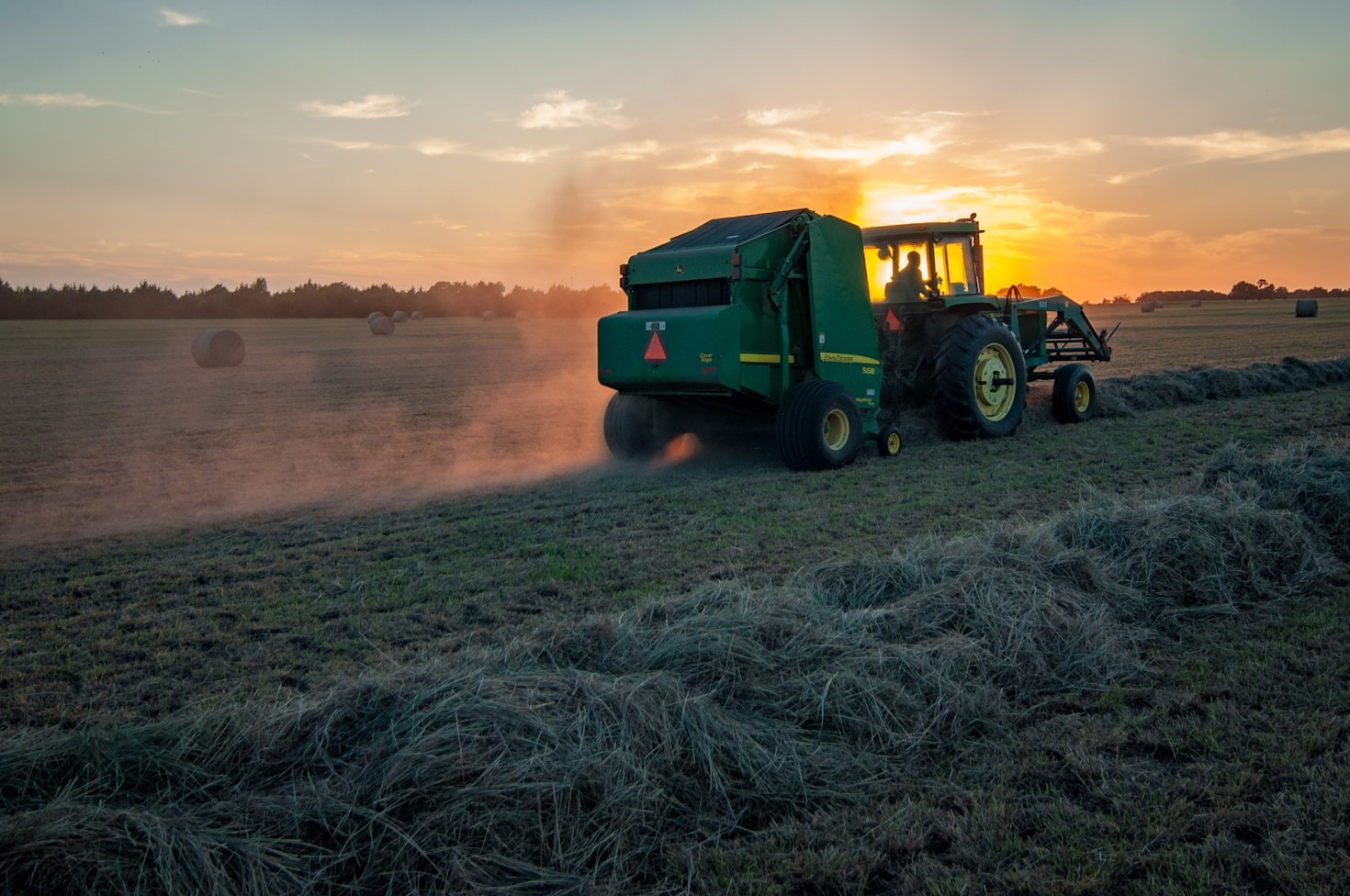 Maximizing Profitability with High-Quality Farm Animals